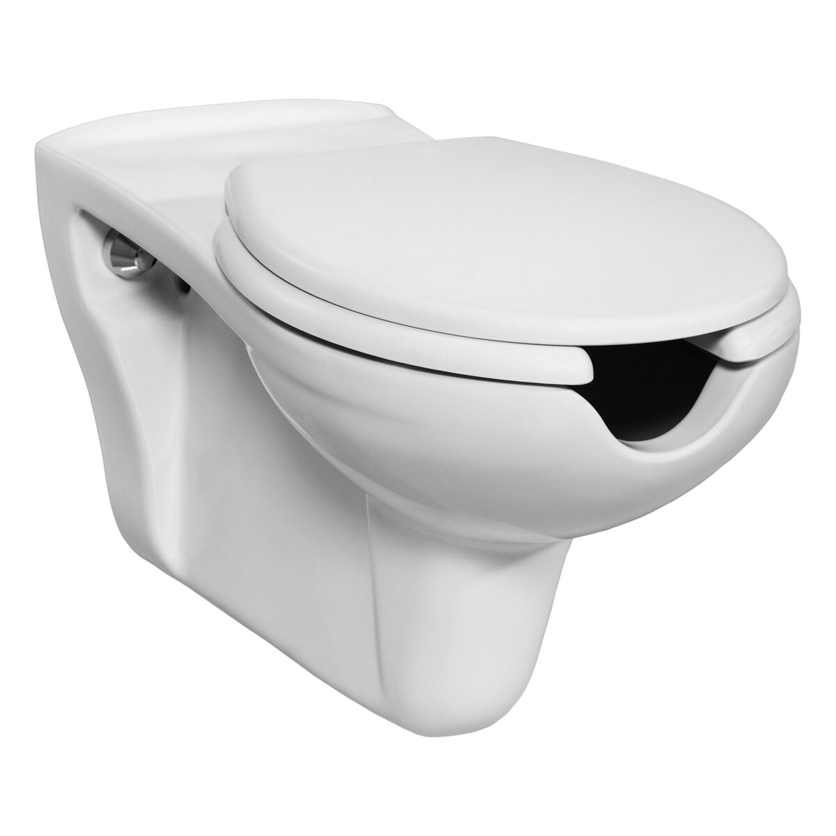 Creavit Hang-Wc Wit Mindervaliden