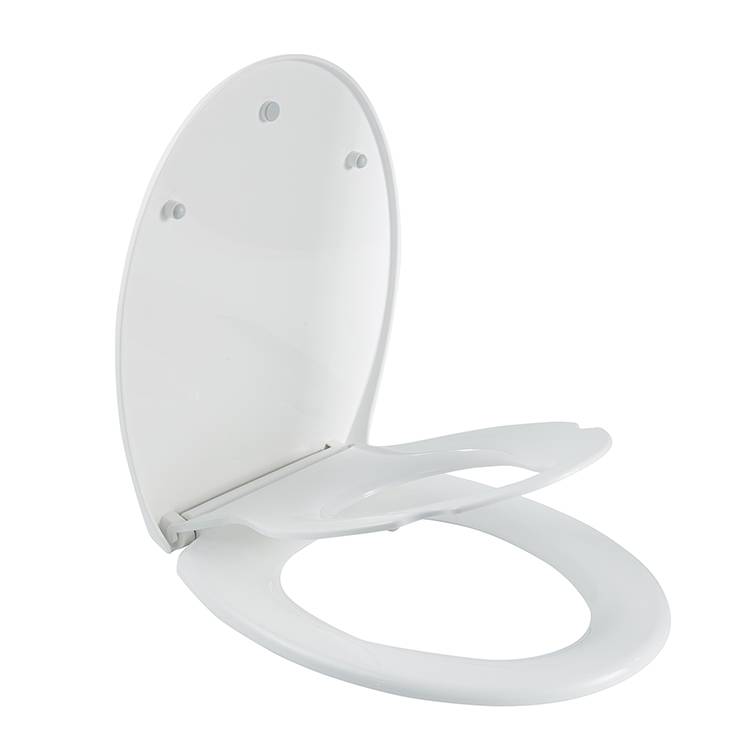 toiletzitting