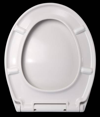toiletzitting