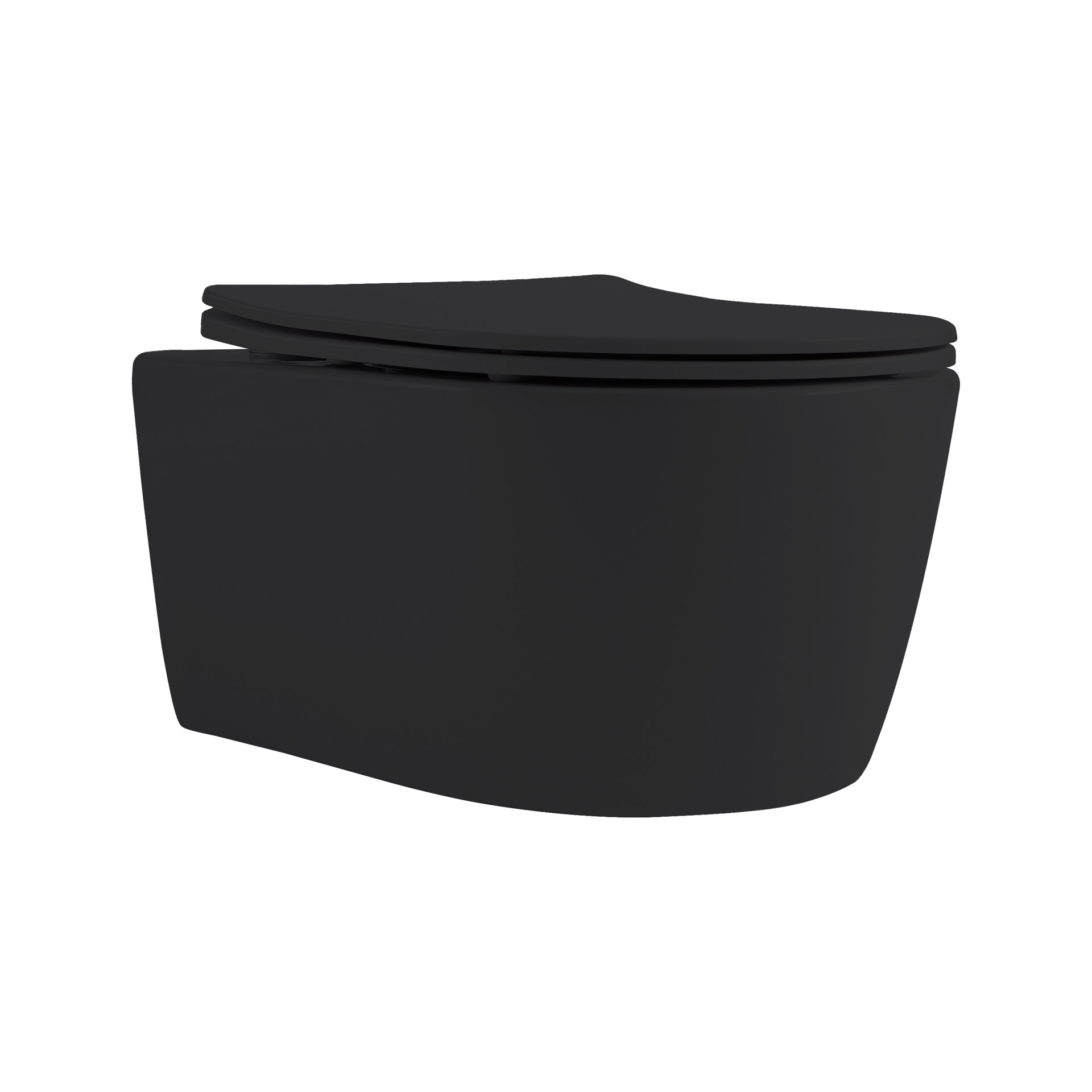 Aloni Pro Ophang WC Rim-Off + Zitting - Mat Zwart